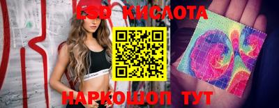 ECSTASY Бийск