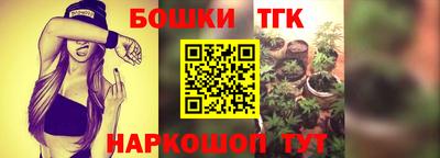 ECSTASY Бийск