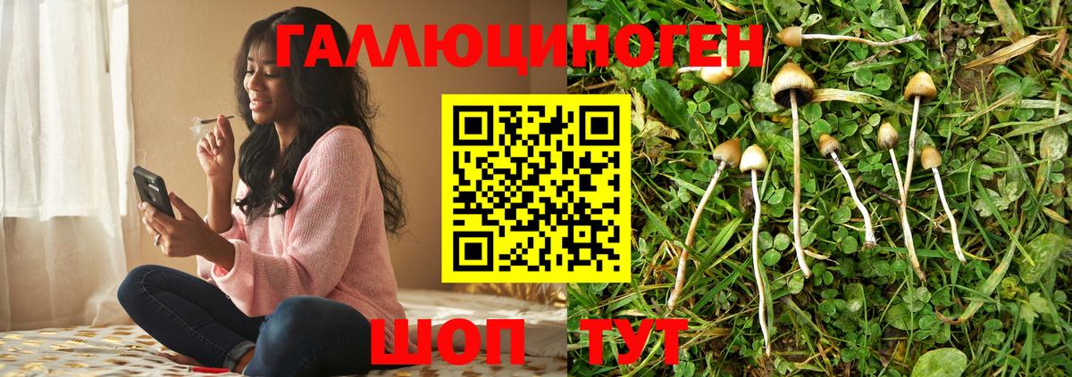 Галлюциногенные грибы мухоморы Керчь