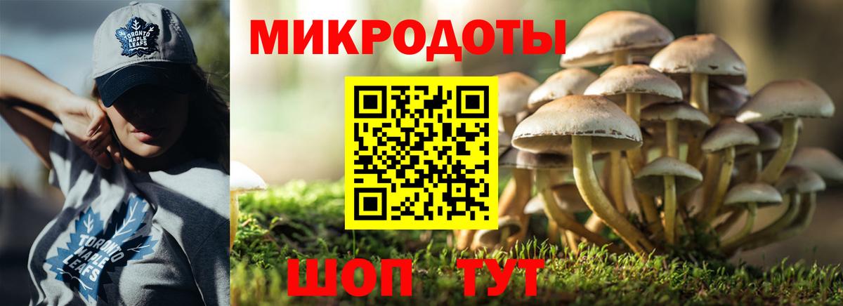 Керчь  Псилоцибиновые грибы мицелий  Вход с VPN  Галлюциногенные грибы GOLDEN TEACHER 