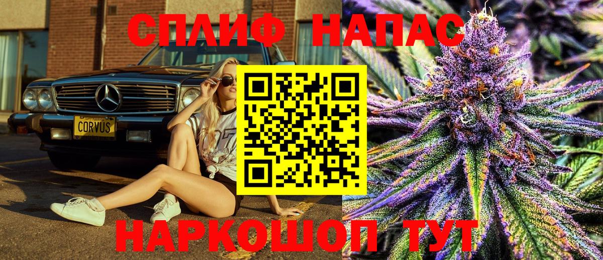 Бошки Шишки планчик Керчь